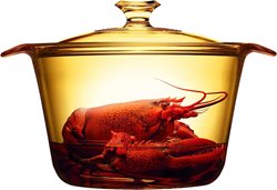 81UHje2qJaL._AC_SL1500_